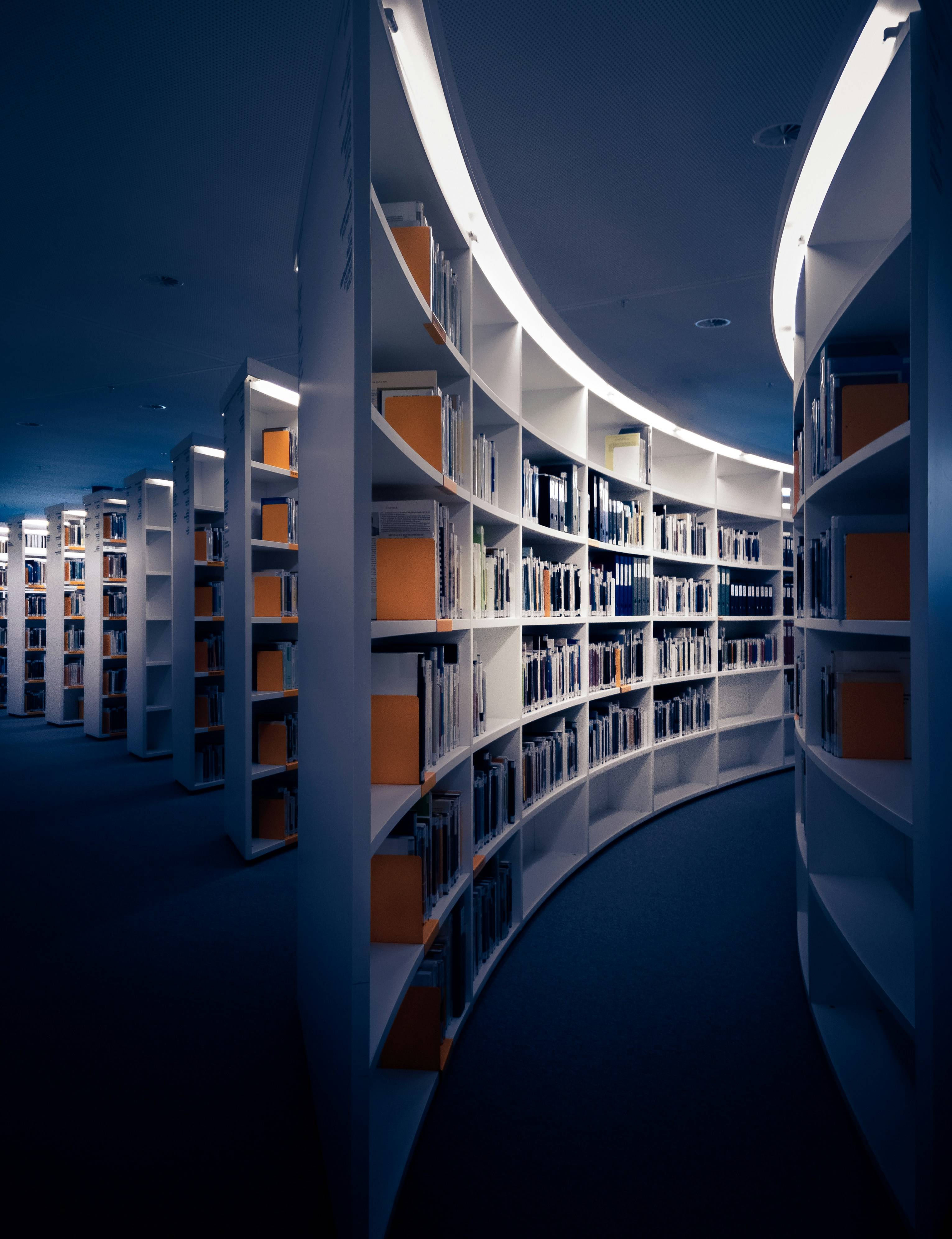 tall bookcases in a library