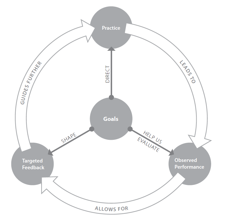 7-principles-feedback