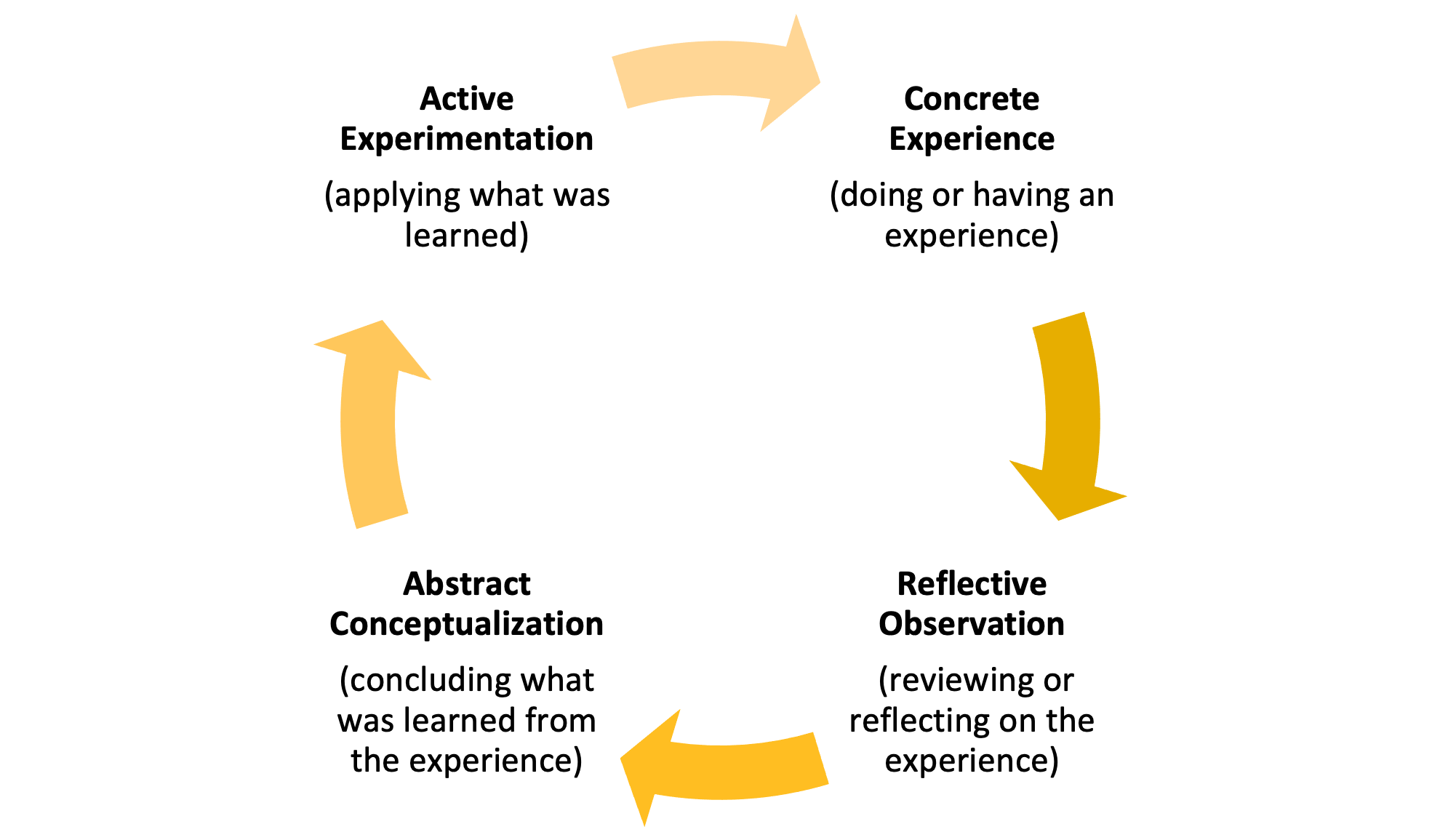 Kolb's experiential learning cycle