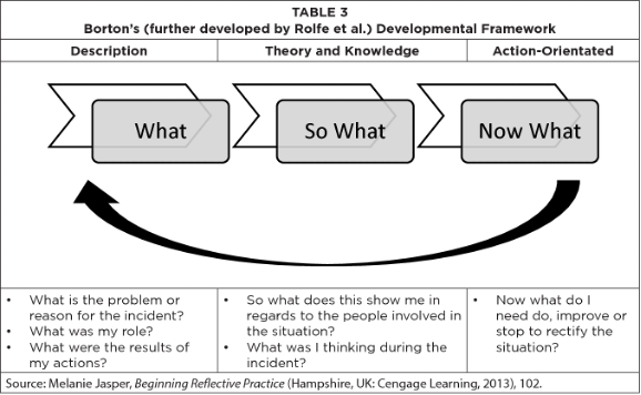 Burton's developmental framework image