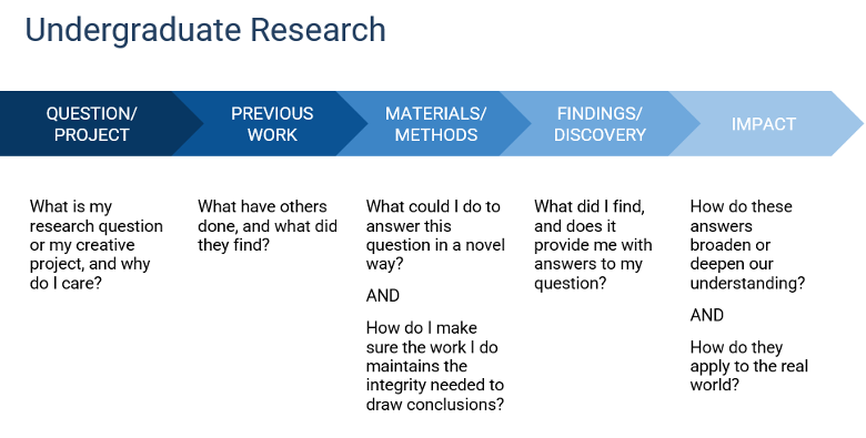 undergraduate research reflections image